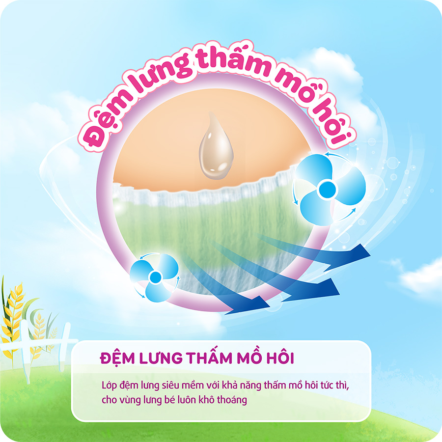 Tã quần Bobby Siêu thoáng M76/L68/XL62/XXL56