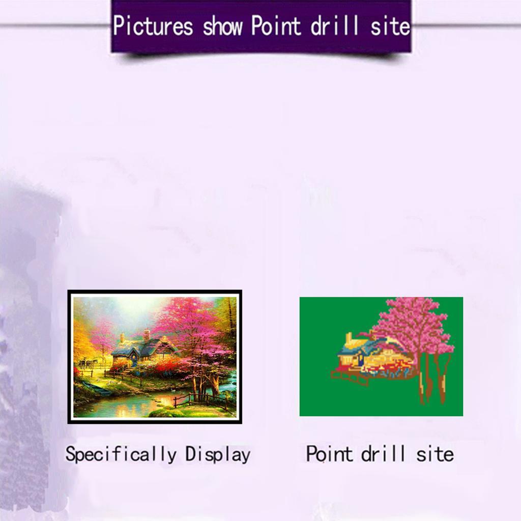 Handmade Diamond Embroidery, Full Drill, Rhinestone, 5D, DIY Diamond Painting Kit,Cross Stitch, Diamond Art Craft Painting Set, Home Wall Decoration, 30x40cm
