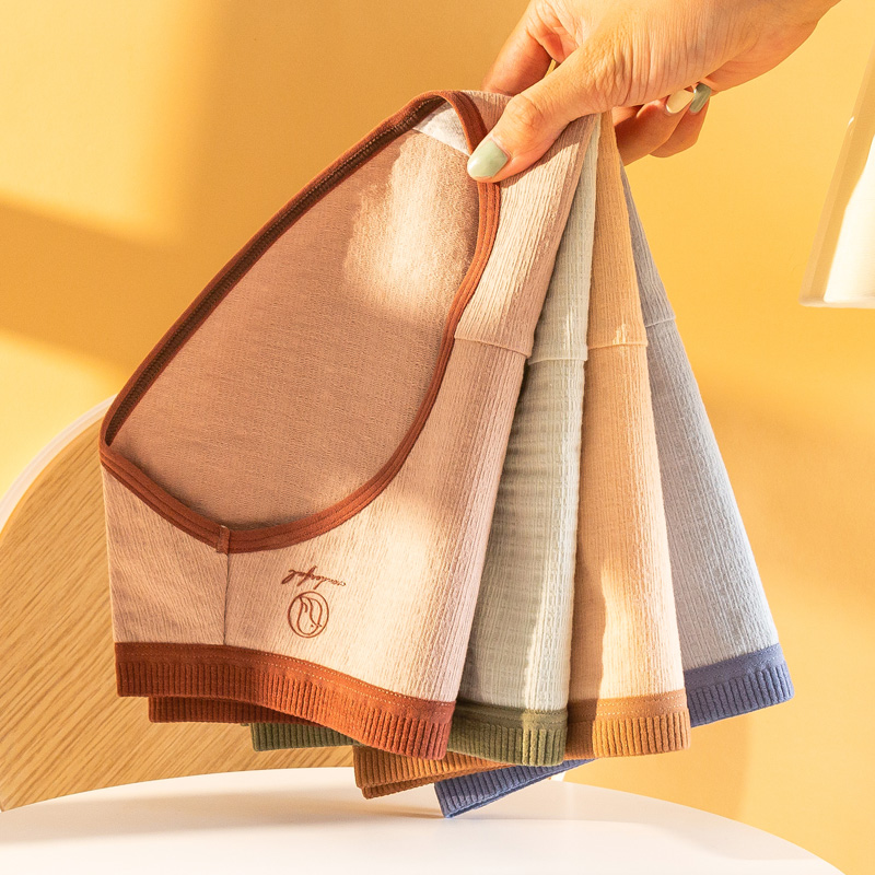 Quần Lót Cotton Nữ Siêu Mềm Thấm Hút Mồ Hôi Phong Cách Nhật Bản P233