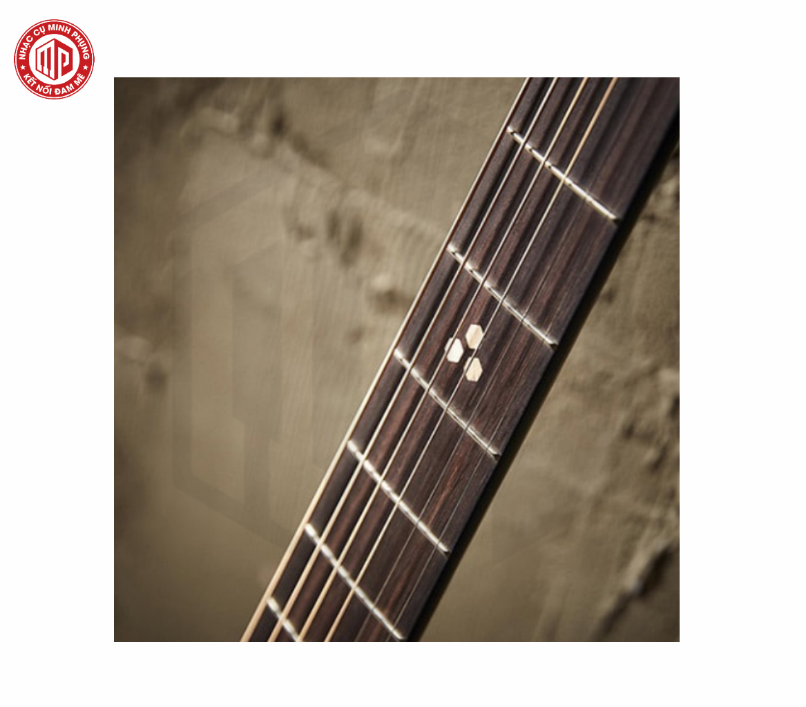 Đàn Guitar Acoustic Hex D450CE - Hàng chính hãng