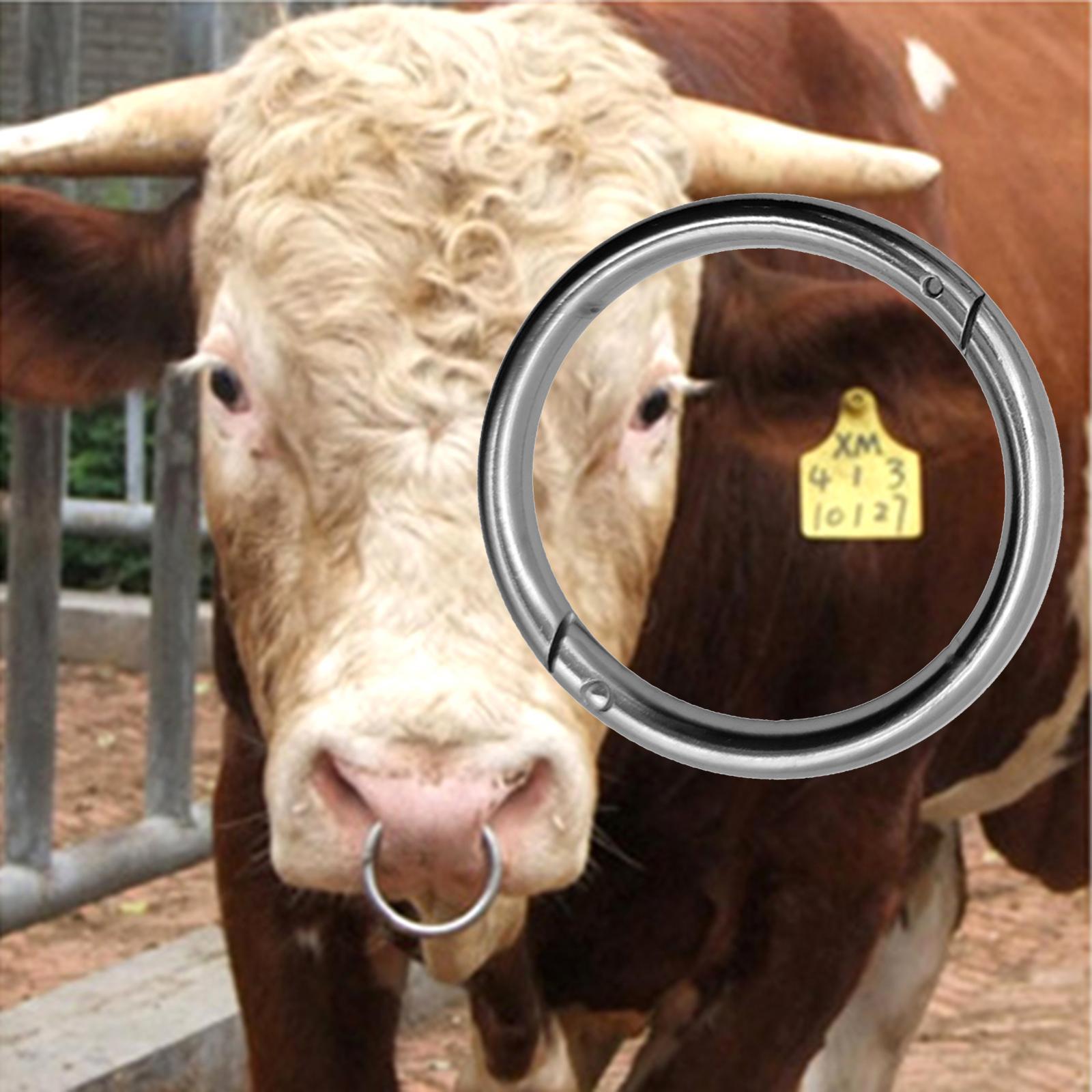 Cattle Nose  Smooth Husbandry Accessory Durable for Supplies Accessories