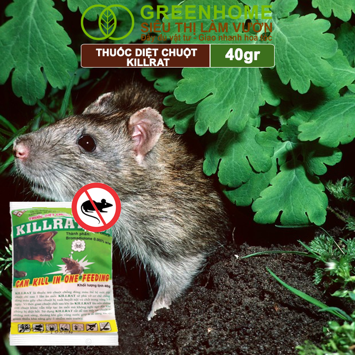 Thuốc Diệt Chuột Greenhome, Killrat, Bao 40gr, Thế Hệ Mới, Hiệu Quả, Diệt Cả Đàn, Giúp Nhà Sạch Sẽ, Bảo Vệ Vườn