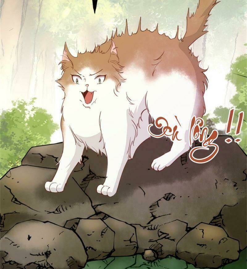 sát thủ vương phi không dễ chọc chapter 30 31