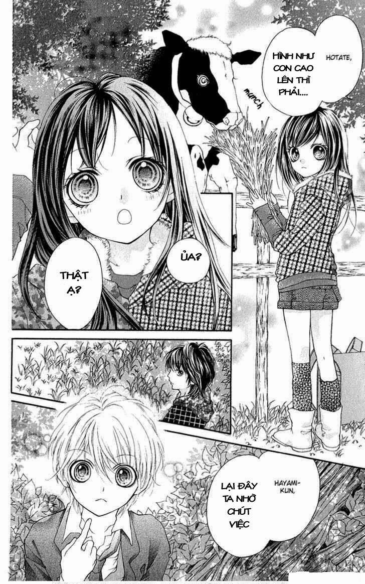 yamamoto zenjirou to moushimasu chapter 14.1 6