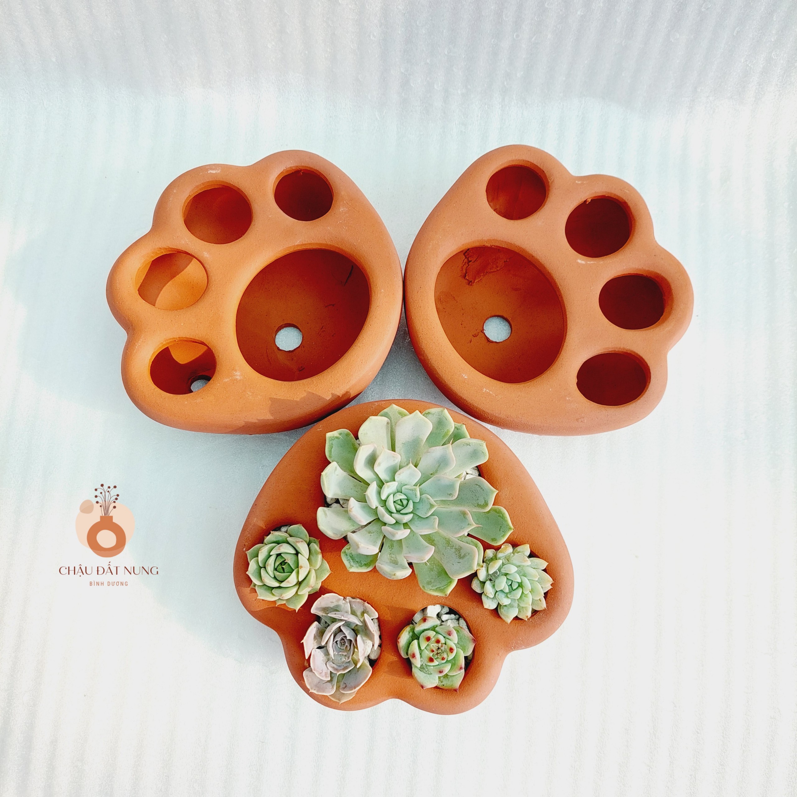 Chậu đất nung Bình Dương - Chân chó, đường kính lỗ 3-4cm, đường kính bàn chân 7-8cm, chiều cao 4.5cm