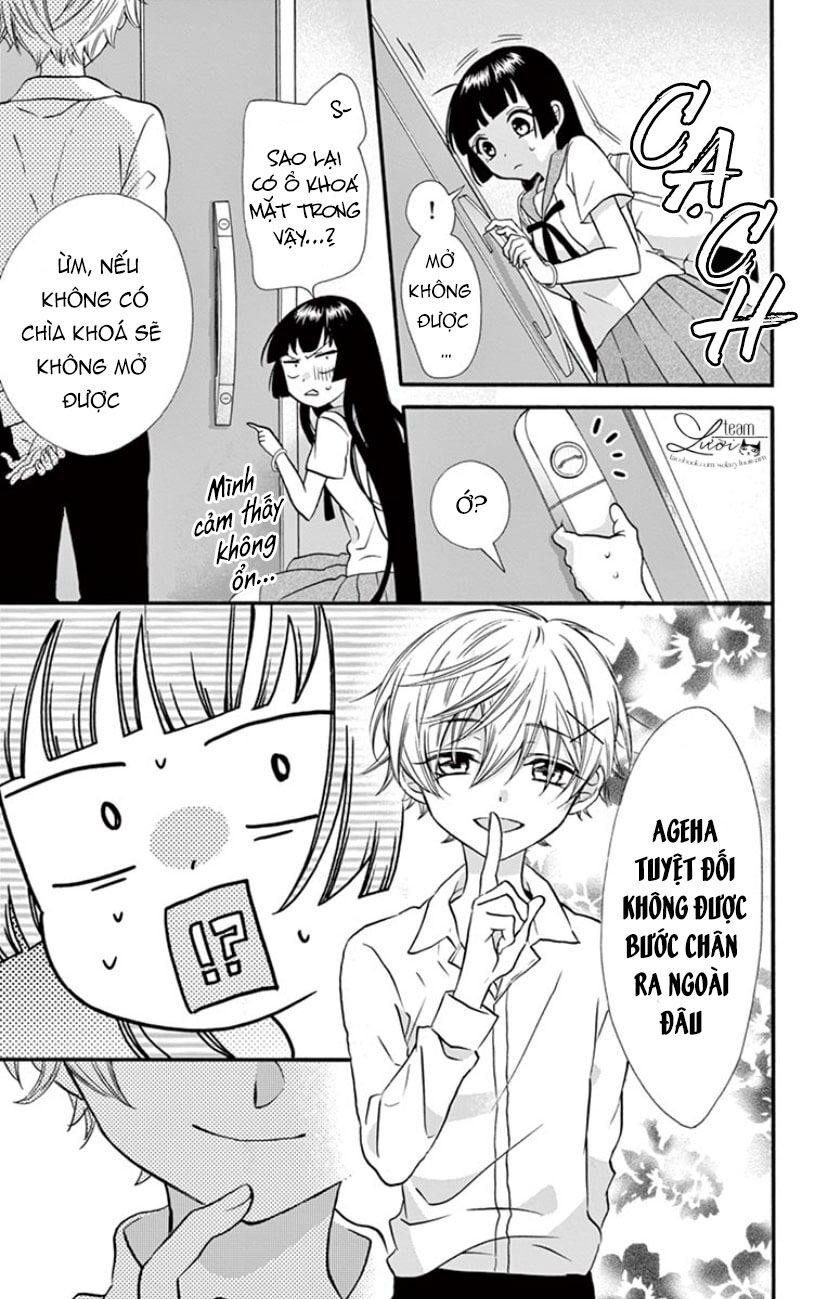 chàng rể giả nhân giả nghĩa chapter 16 6