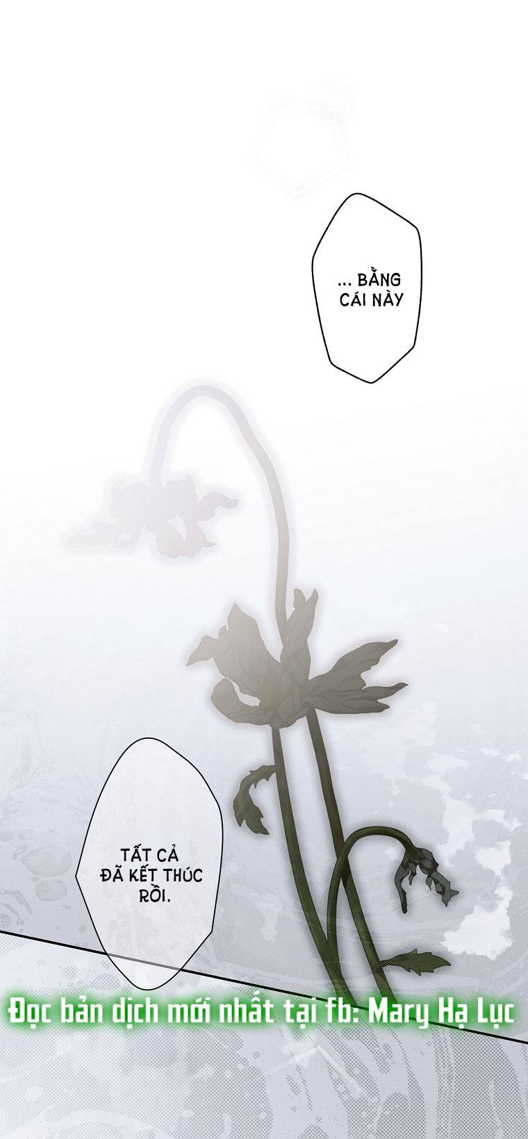 quý cô bí ẩn - secret lady chapter 76.2 39
