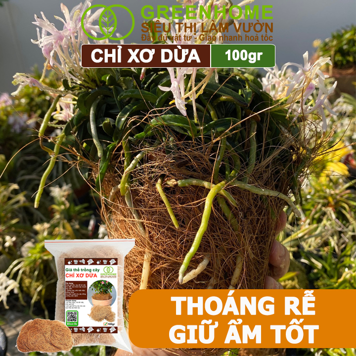 Chỉ Xơ Dừa Greenhome, Bao 100gr, Chuyên Dùng Giá Thể Trồng Lan, Kiểng Lá, Đắp Gốc Giữ Ẩm Cây Trồng