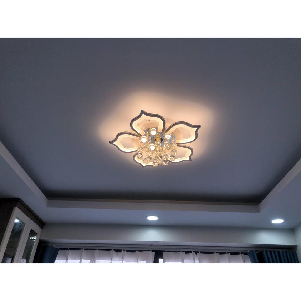 Đèn ốp trần trang trí phòng khách phòng ngủ 5 cánh có 3 chế độ sáng tặng kèm điều khiển tăng chỉnh - Mã 2042/5