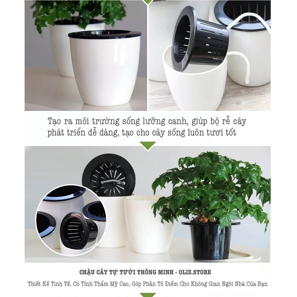 Chậu trồng cây tự tưới Oliz H0