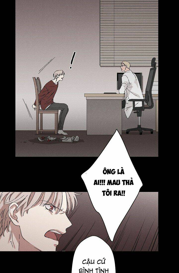 trốn tìm chapter 3 28