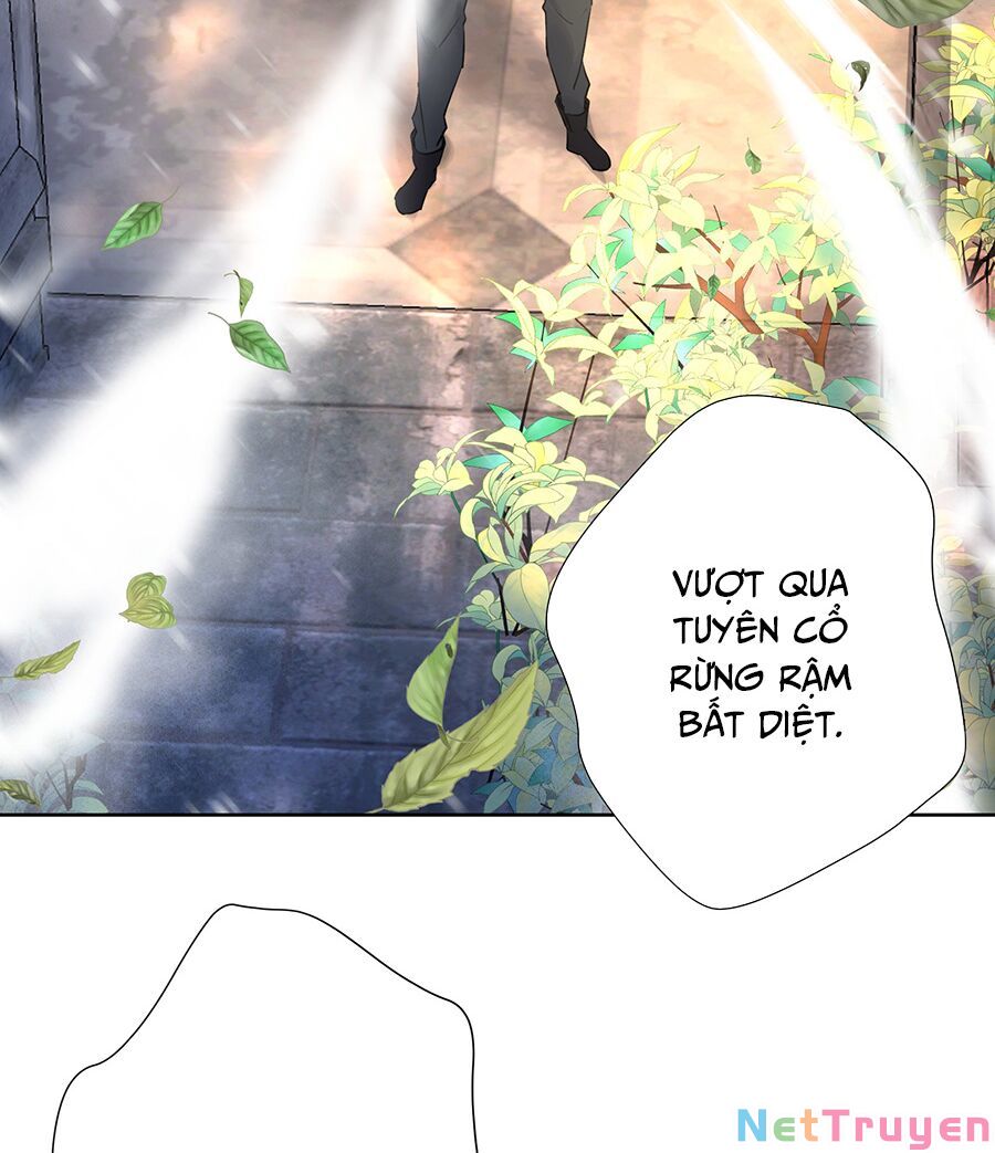 bản giáo chủ thân bất do kỷ chapter 11 40