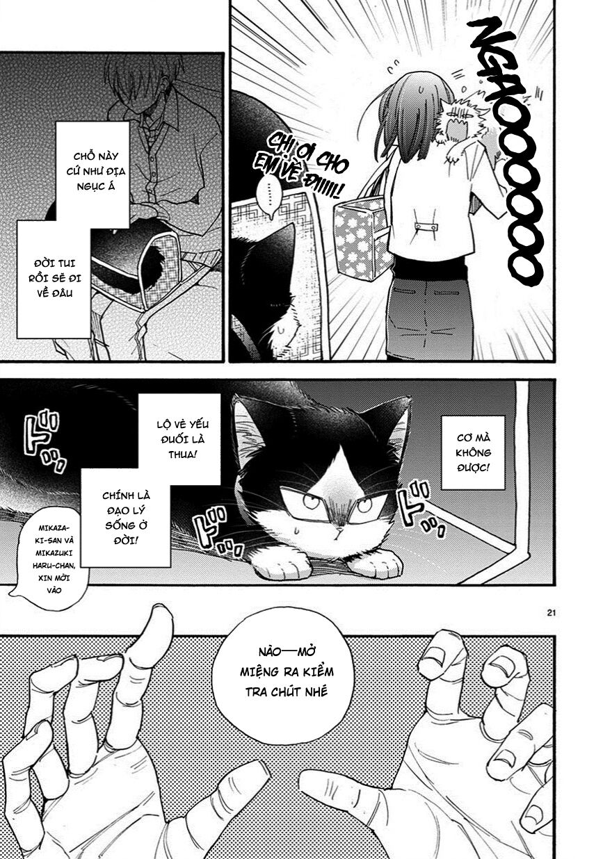 doukyonin wa hiza, tokidoki, atama no ue chapter 7.5 5