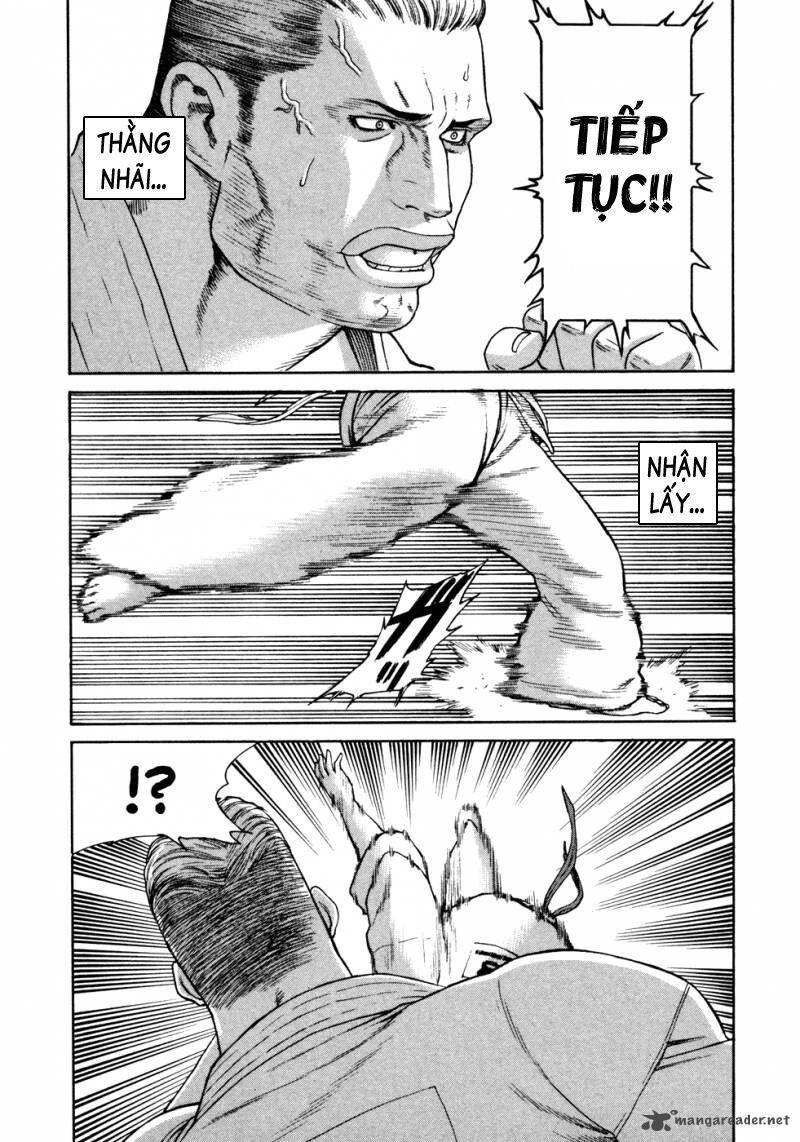 karate shoukoushi kohinata minoru chapter 132 14