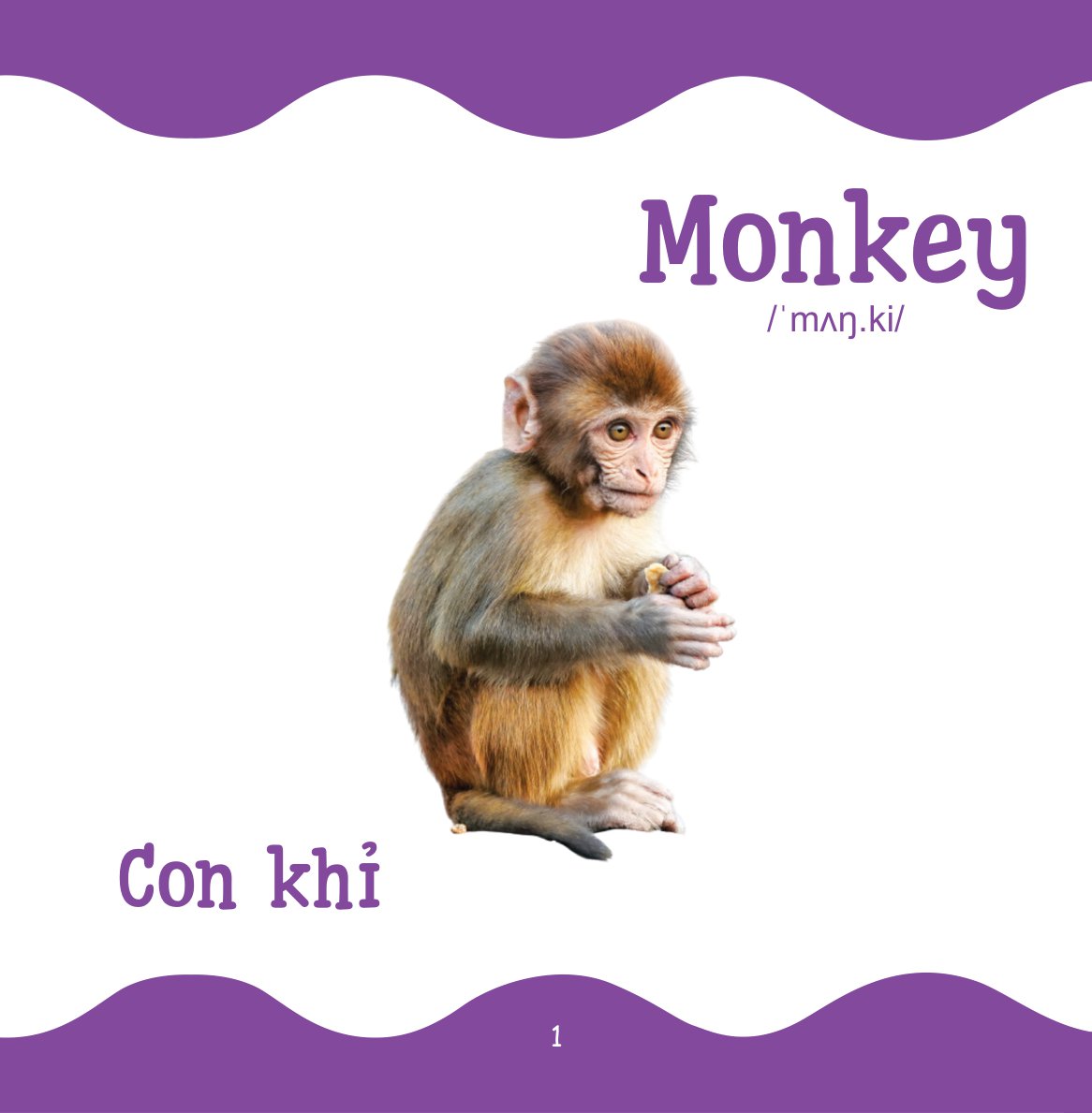 Cùng Con Trưởng Thành - Từ Điển Bằng Hình Cho Trẻ Mầm Non - Động Vật Hoang Dã _DTI