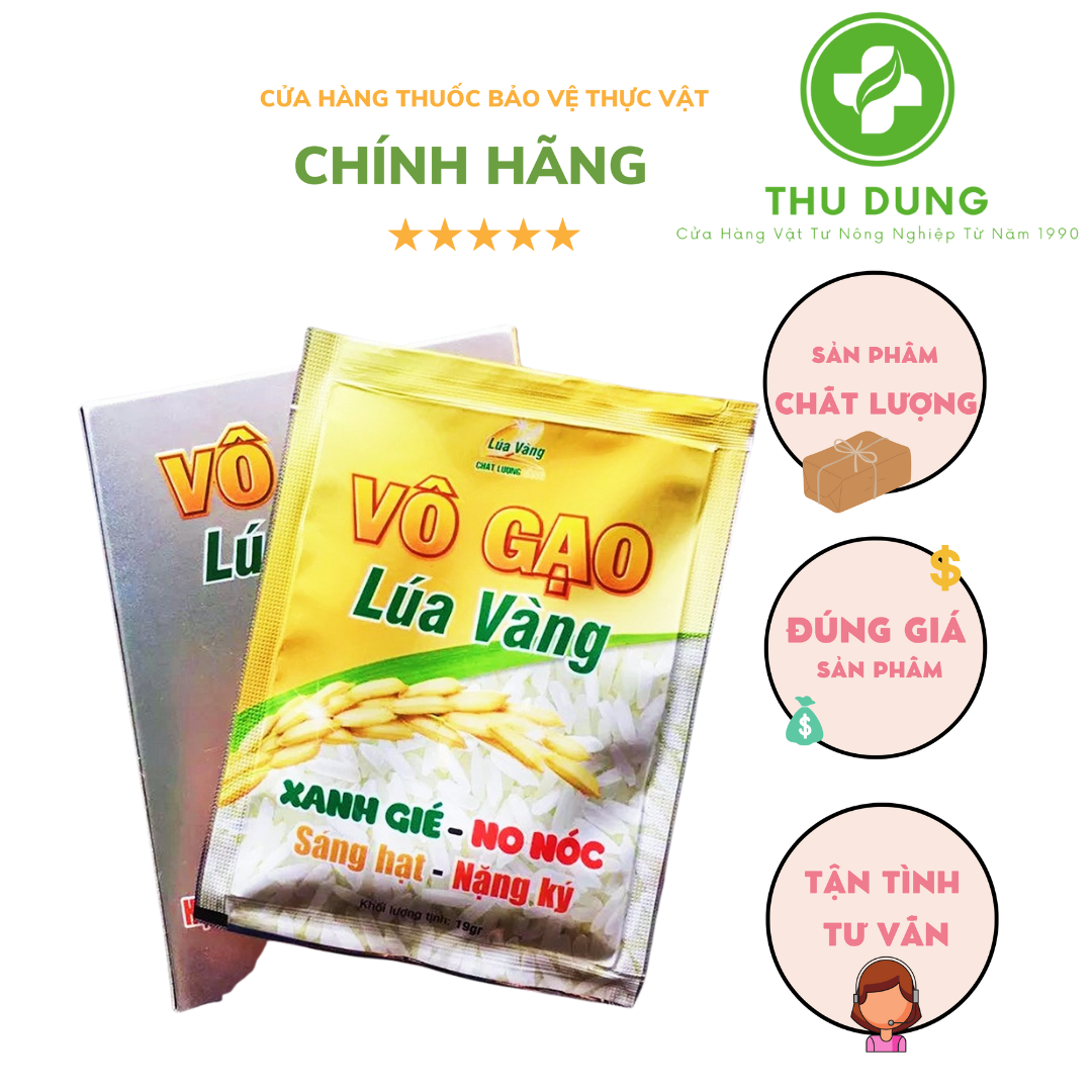 VÔ GẠO LÚA VÀNG