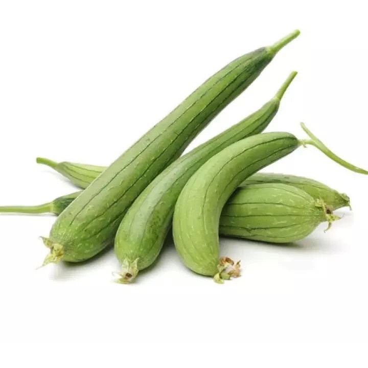 Hạt giống  Mướp hương Elsa 39