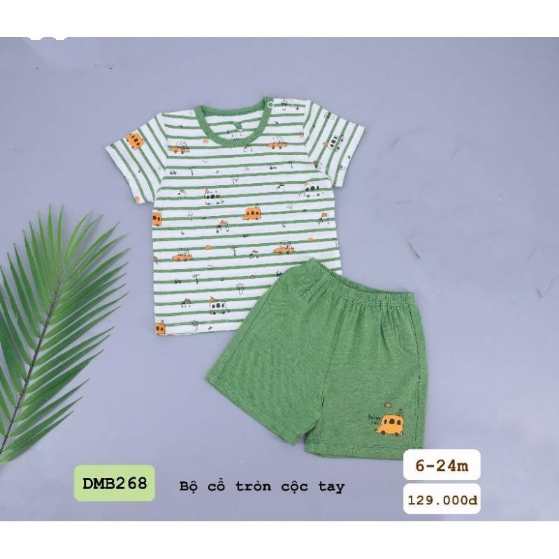 Bộ cổ tròn cộc tay DMB268