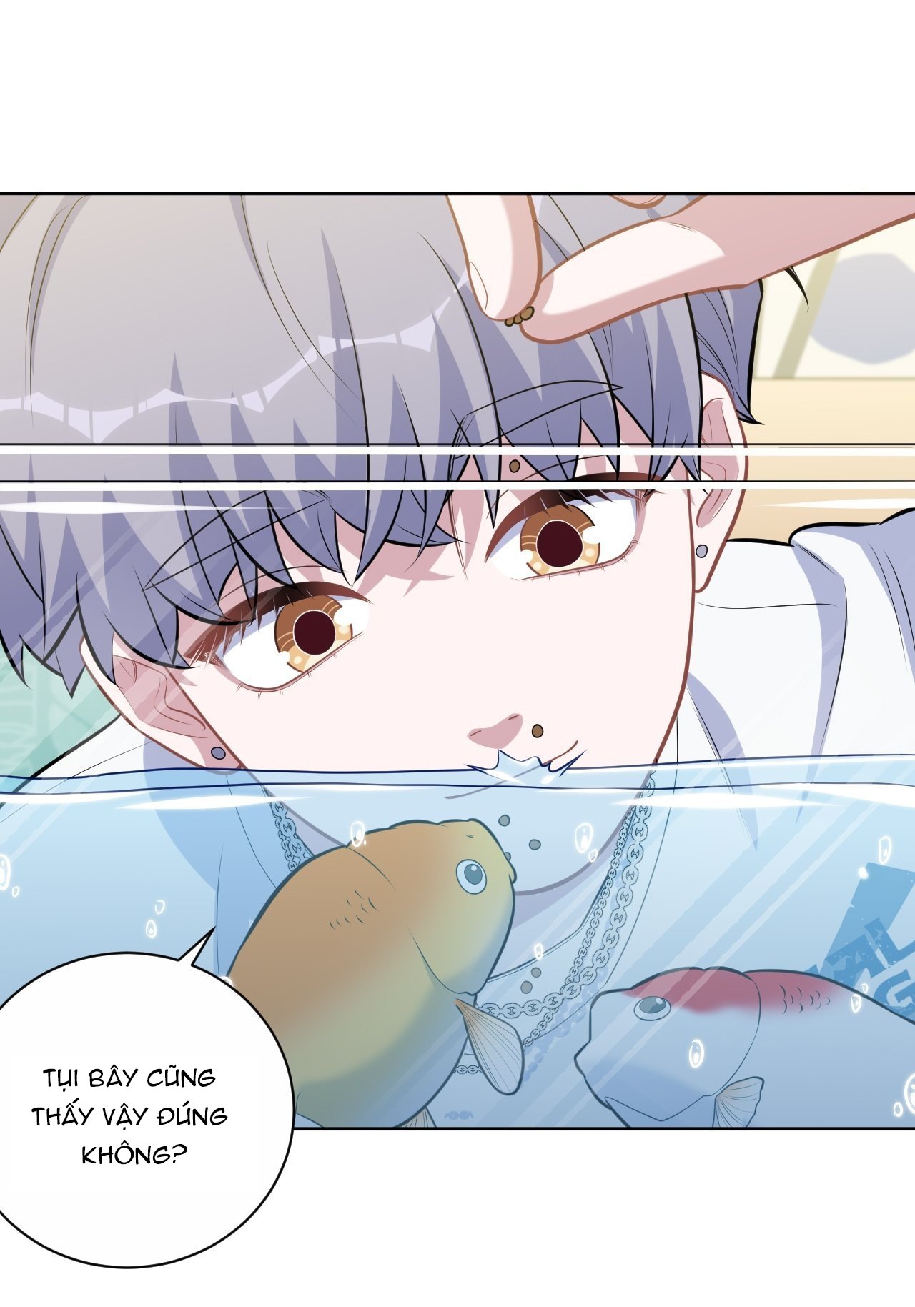 bố vợ đại nhân là bà xã chapter 229 29