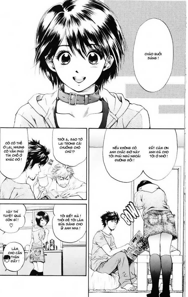 cô nàng yêu chó chapter 3 4