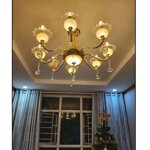 Đèn chùm trang trí nội thất RIAL sang trọng hiện đại - kèm bóng Led nến chuyên dụng (có ảnh thật 100