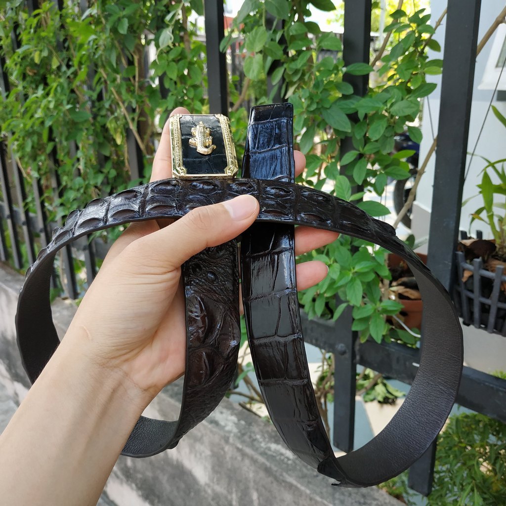 Dây Nịt Da Cá Sấu  Da Lưng Cá Sấu Có Gù, Gai Và Vây Rất Đẹp