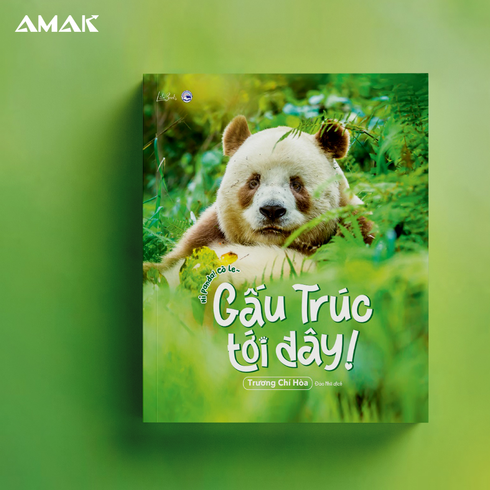 Gấu Trúc Tới Đây - Amakbooks