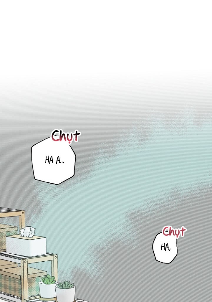 xác suất tình yêu chapter 12 24