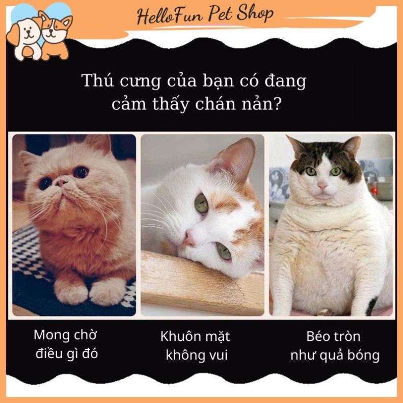 Đồ chơi cho chó mèo