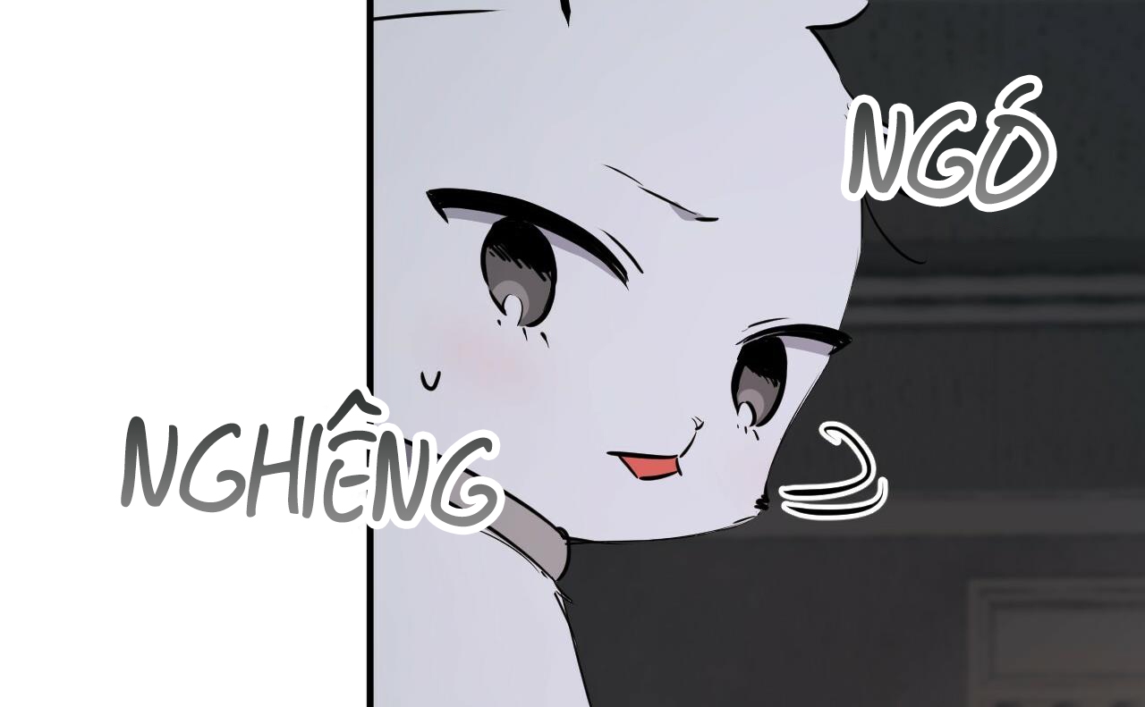 đàn thỏ của habibi chapter 46 44