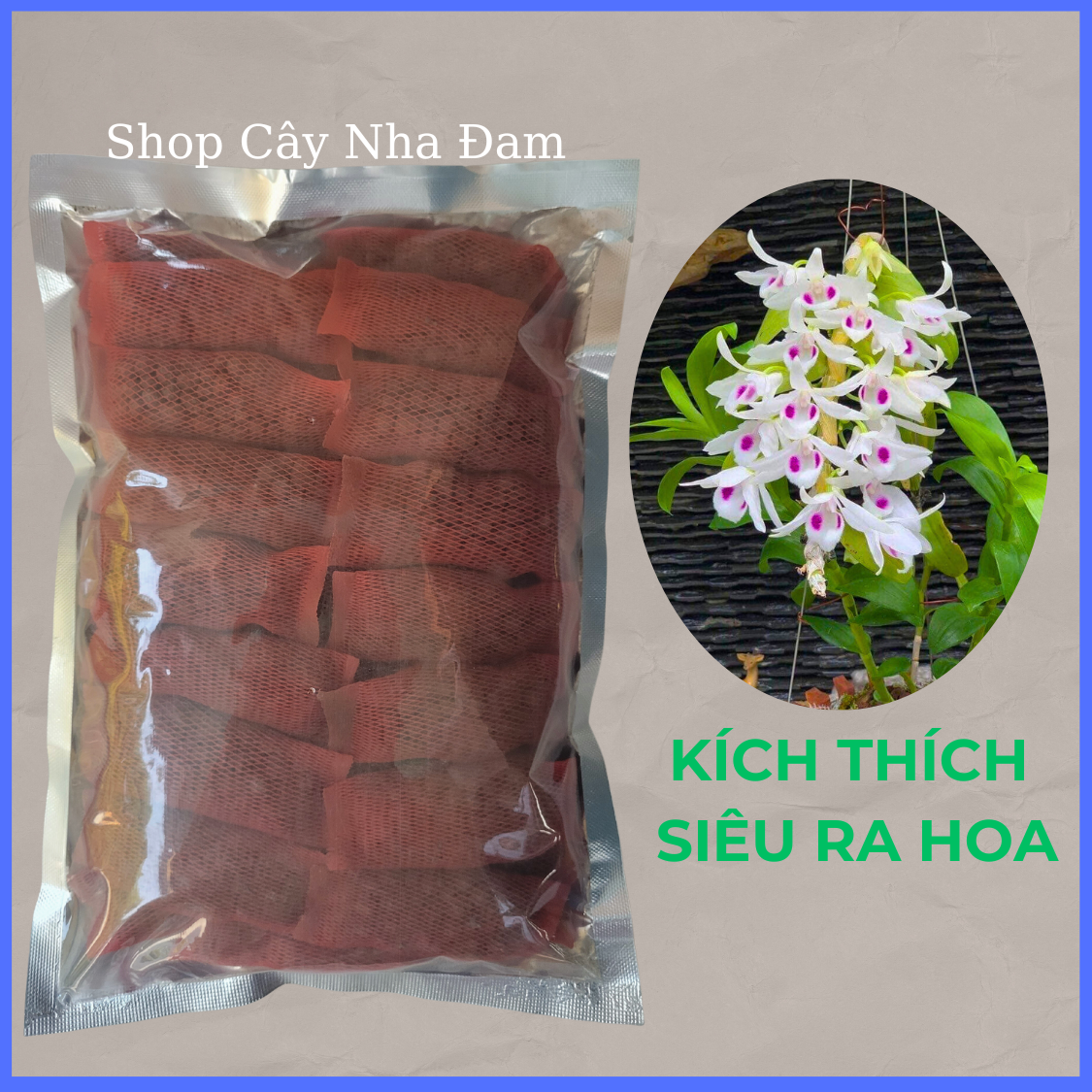 Phân Bón Kích Thích Ra Hoa Cho Lan, Cây Cảnh, Dưỡng Cây, Phân Tan Chậm