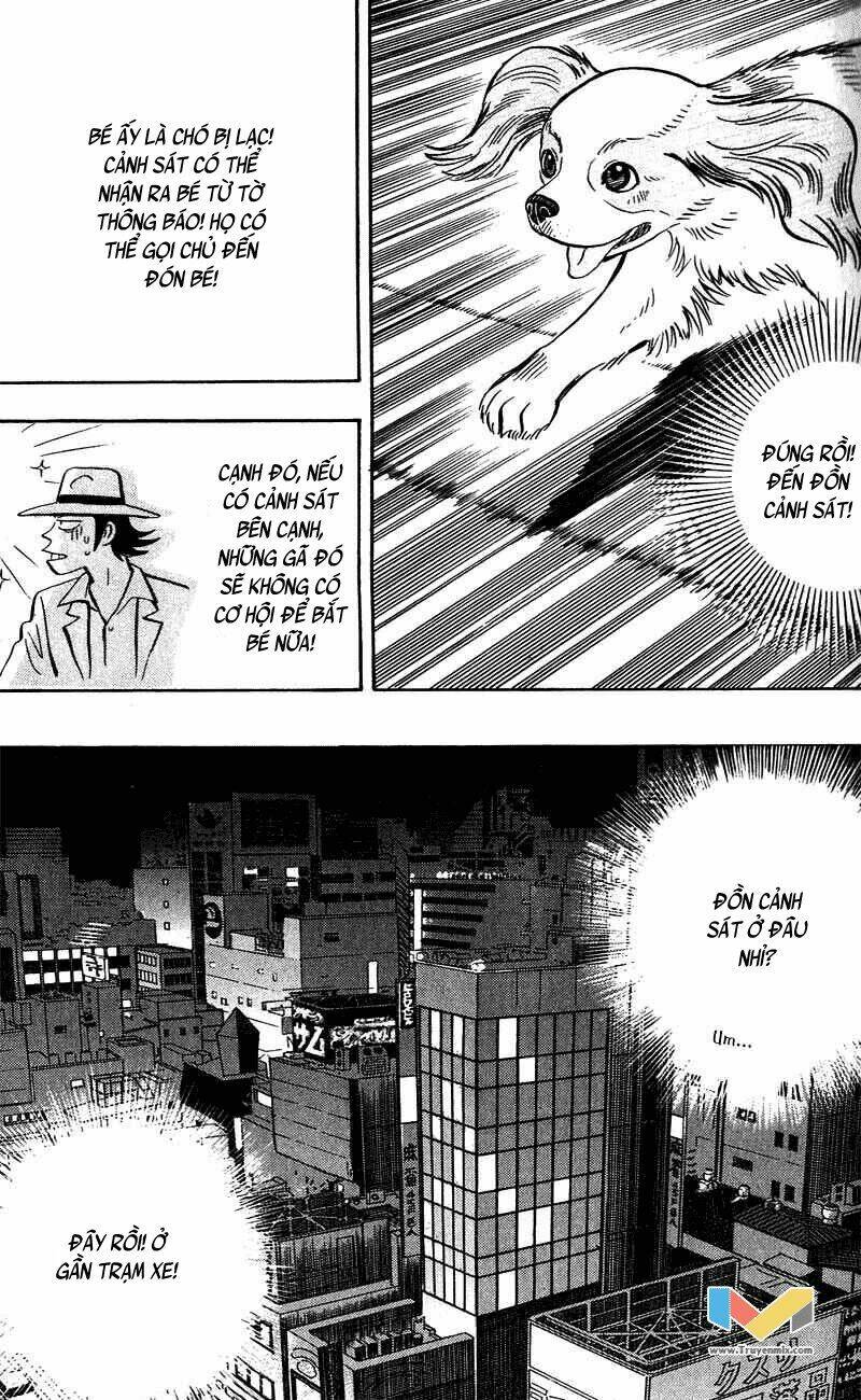 animal sense chapter 6 36