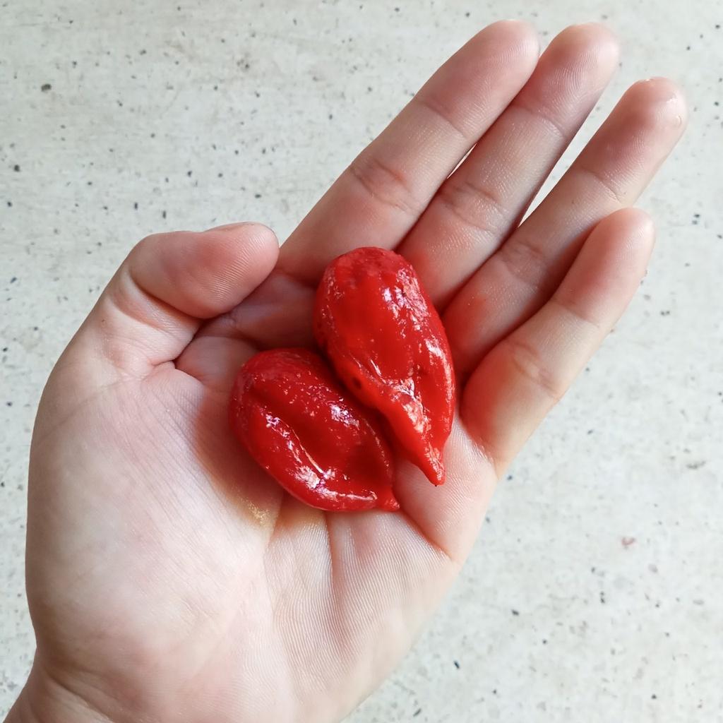 Combo 4 Gói Hạt Ớt Cay
