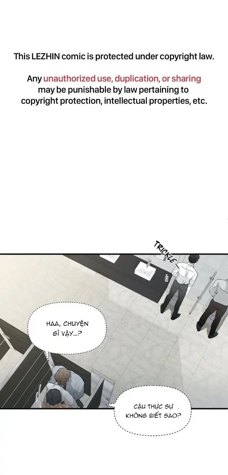 từ đầu xuống chân chapter 8 2