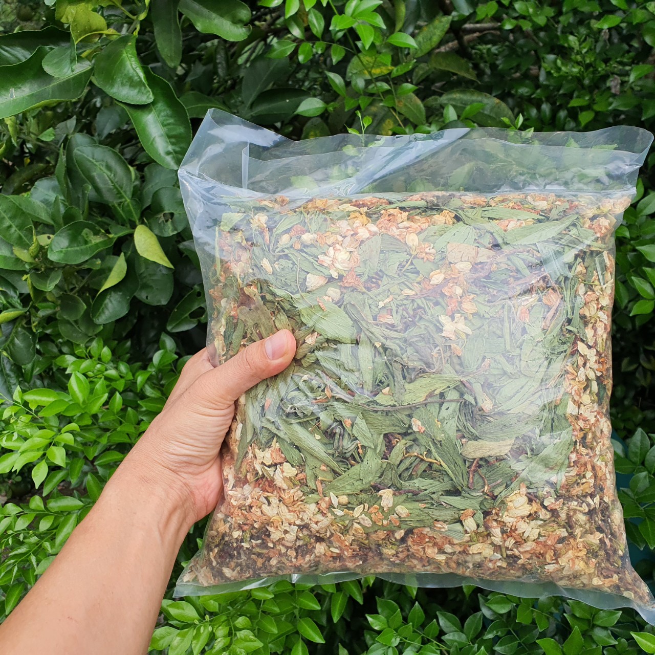 Trà Sơn Mật Hồng Sâm 5 vị bổ thận mát gan an thần dễ ngủ tốt cho tim mạch máu nhiễm mỡ tiểu đường-1Kg