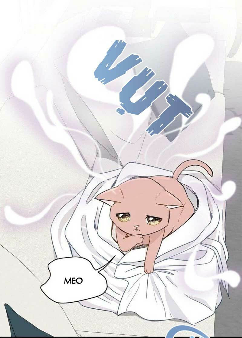 cuộc sống kỳ thú chapter 2 34