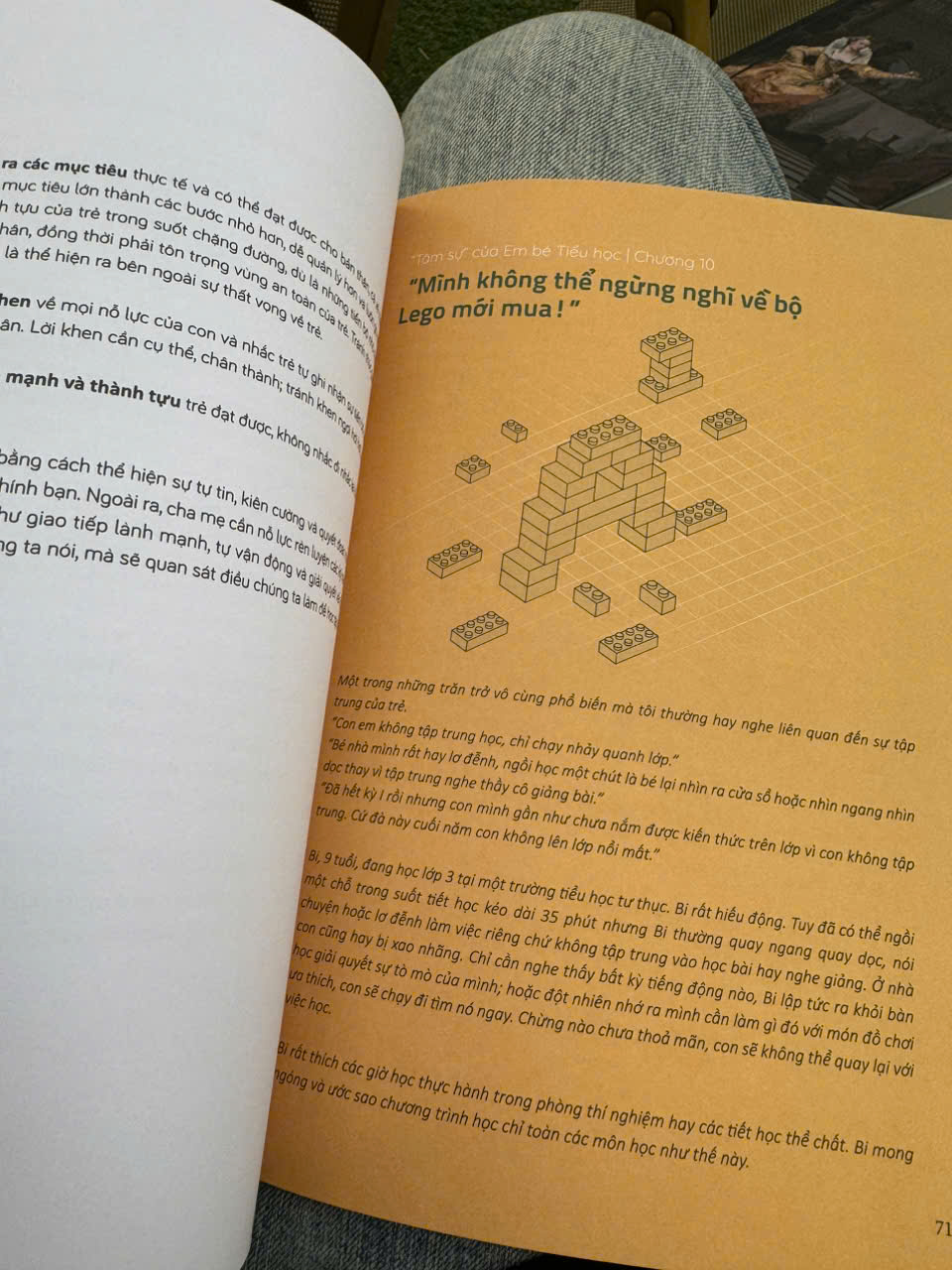 (In màu) EM BÉ TIỂU HỌC – Nhung Nguyễn – Lion Books – NXB Hà Nội