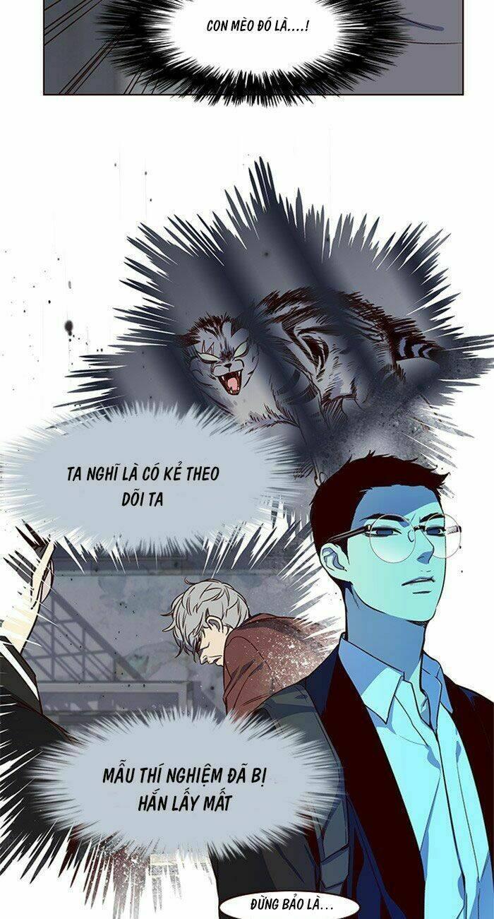 biến thân thành mèo chapter 10 39