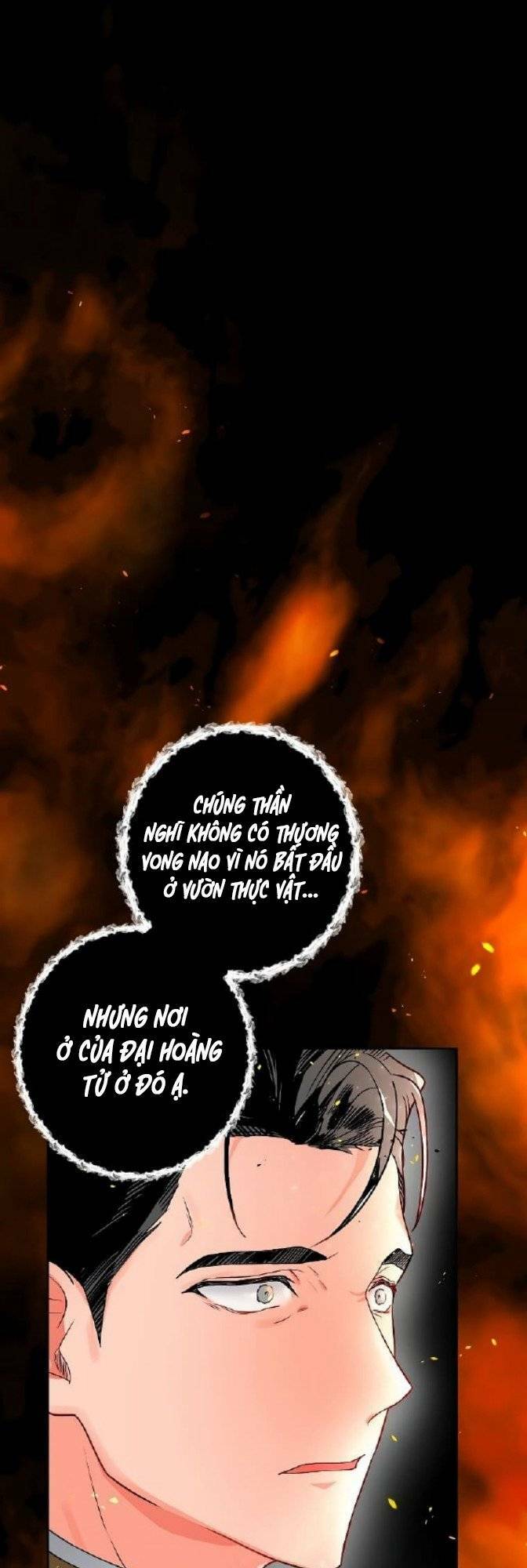 nàng hậu của tro tàn chapter 0 25