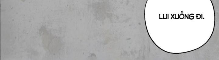 Tạng Phong Hành chapter 195 11