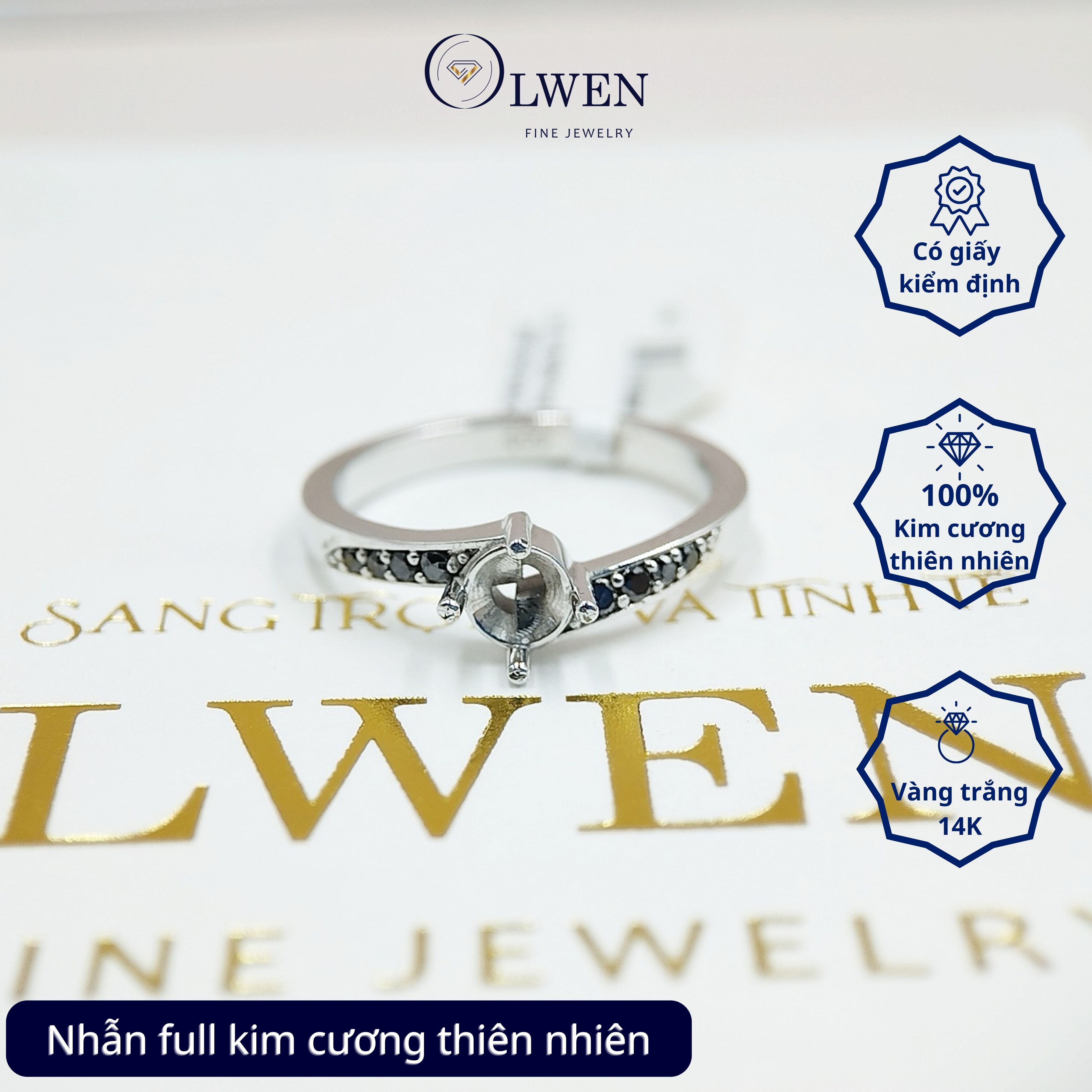 Nhẫn Kim Cương Đen 14K Olwen HA-R000073