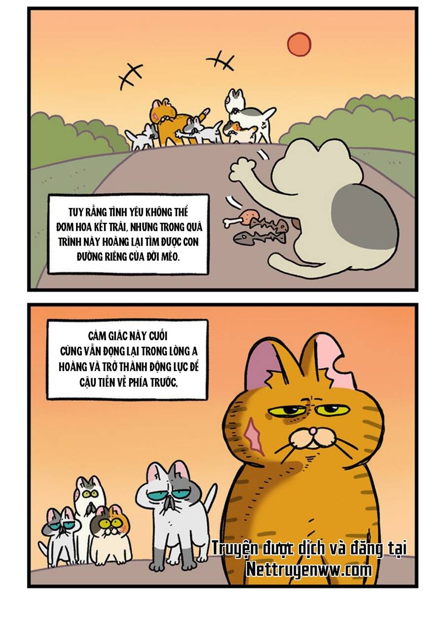 a mãn và mạch trà chapter 46.1 6