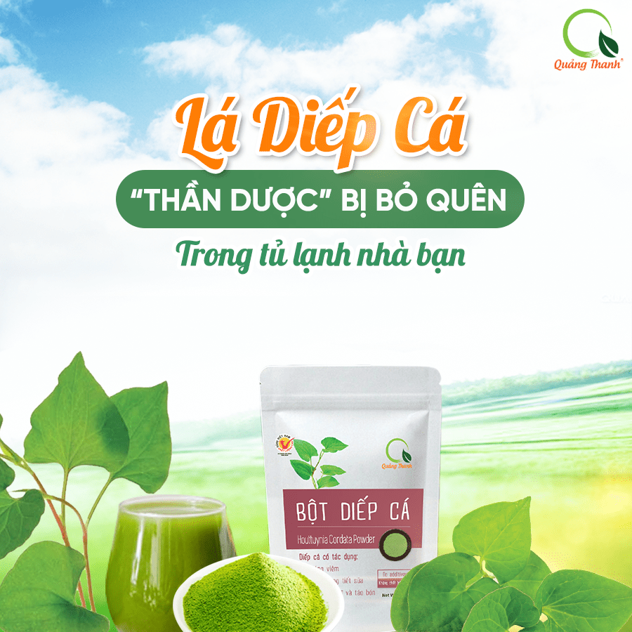 [CHÍNH HÃNG] Bột Diếp Cá Quảng Thanh gói 100g thanh nhiệt, giải độc, cầm máu - Kháng khuẩn, kháng viêm, chống oxy hóa