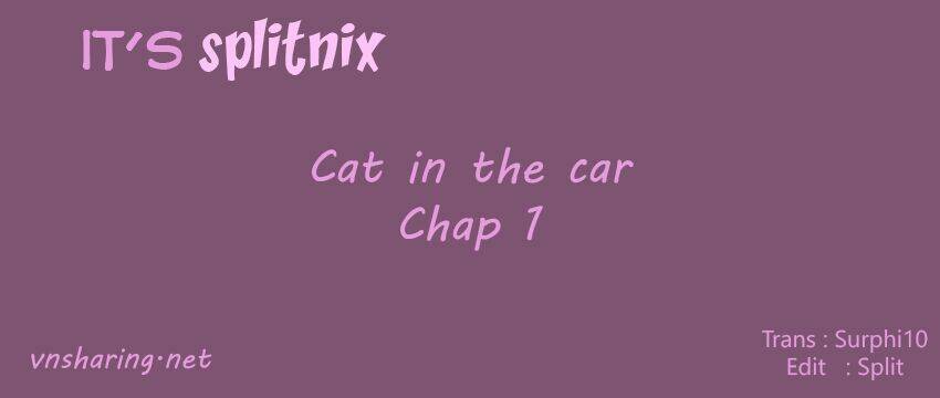 cat in the car chapter 1 1
