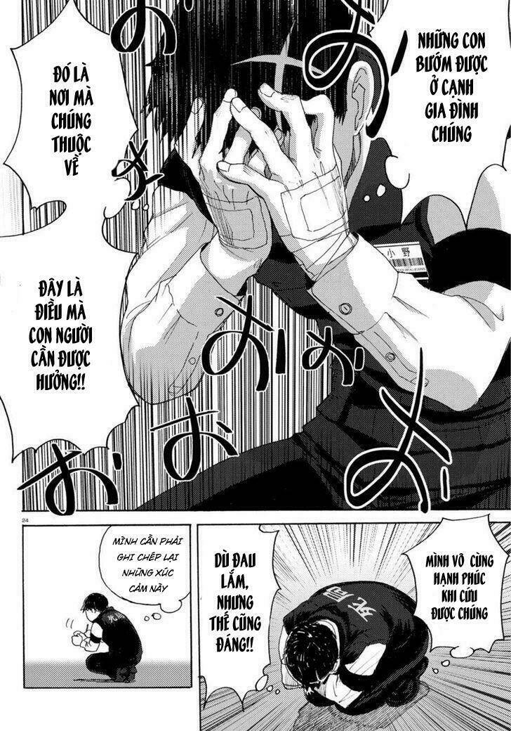 butterfly storage chapter 1 29