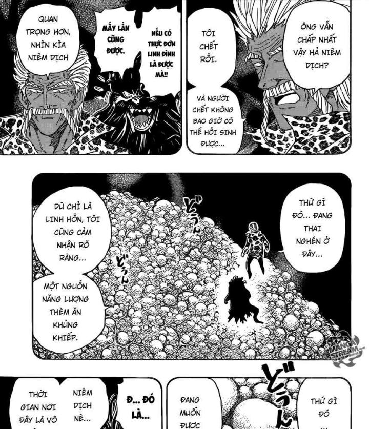 thánh tỏi sành ăn chapter 364 17