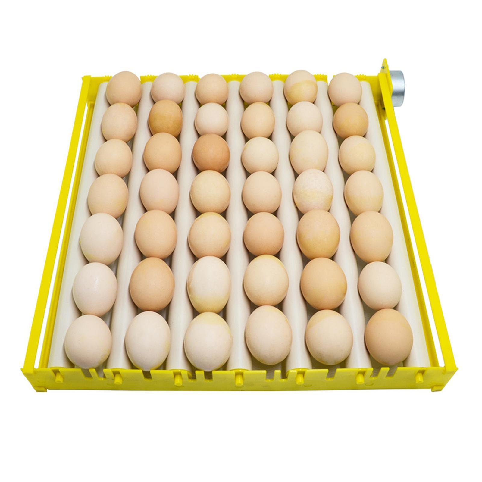 Egg Incubator Tray Automatic Egg Roller Household Duck