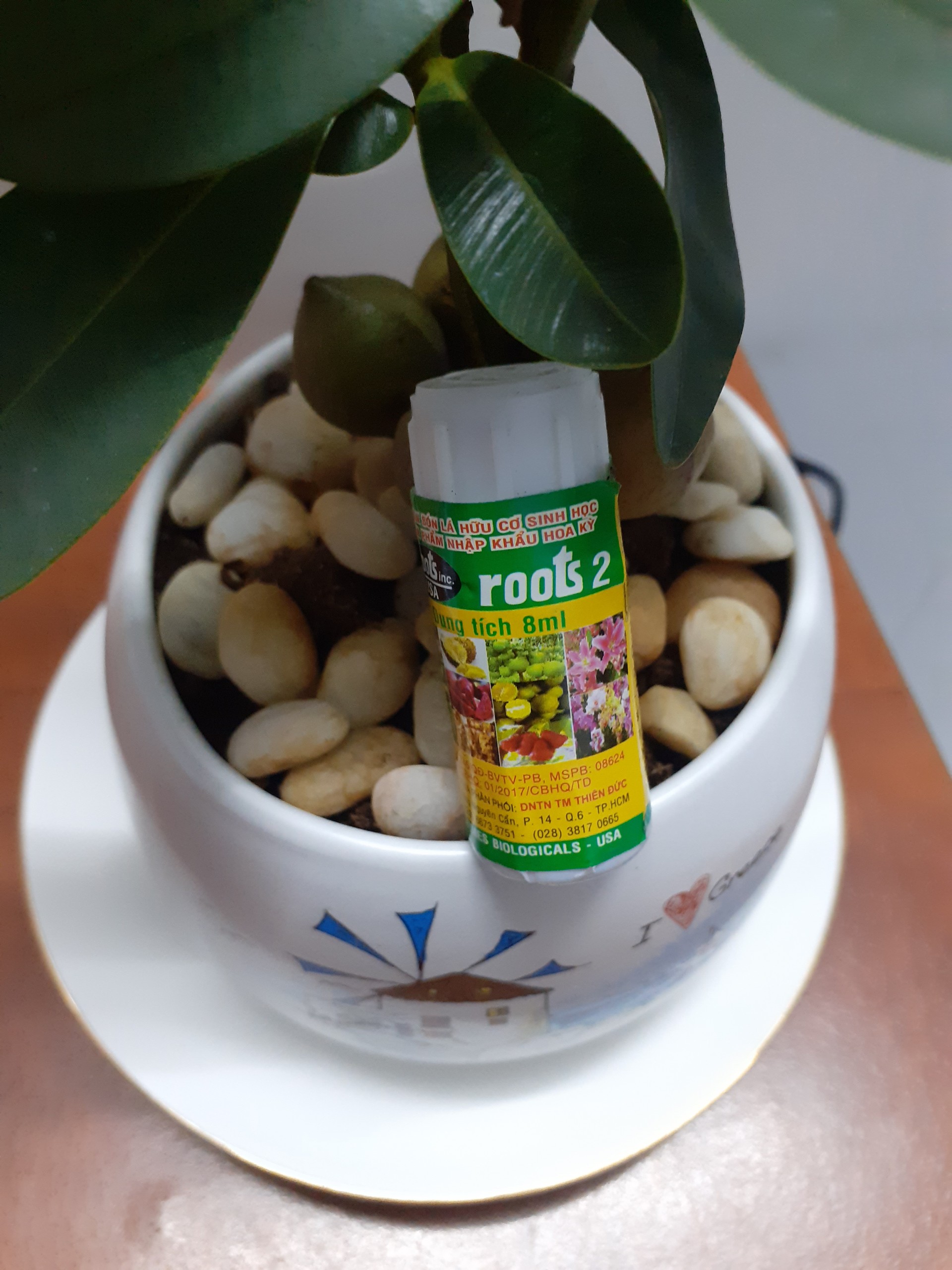 Roots 2 phân bón lá hữu cơ sinh học nhỏ mà có võ nha.