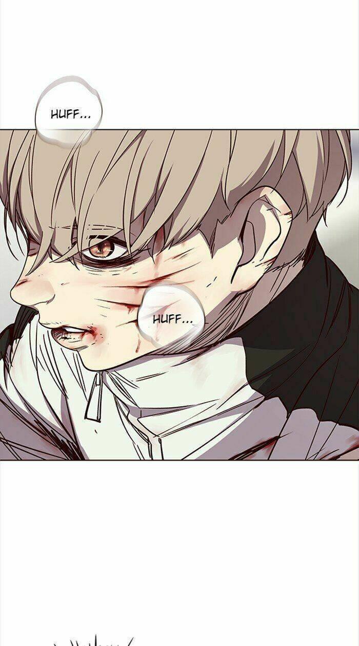 biến thân thành mèo chapter 27 26