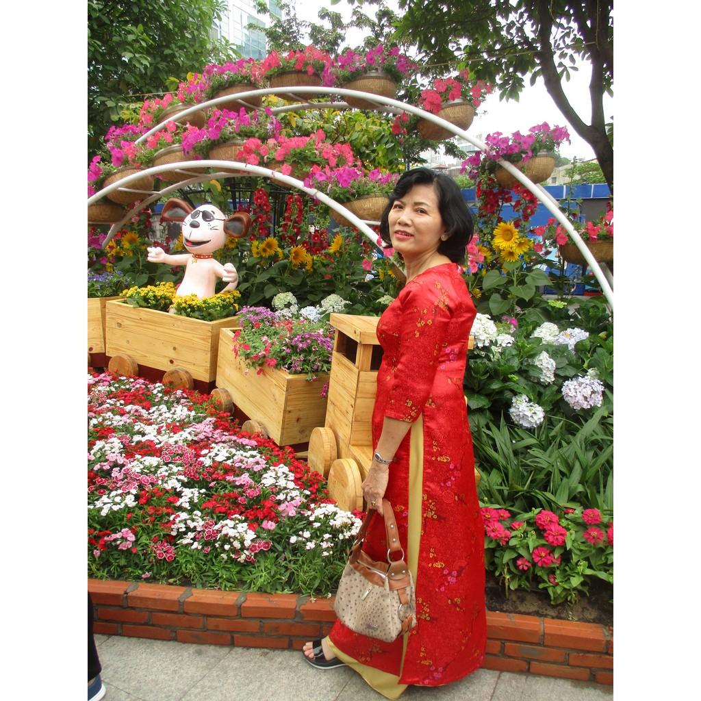 Áo Dài Gấm Nữ Hoạ Tiết Hoa Mai Cao Cấp